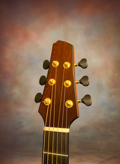 Strahm Eros C Brz guitar headstock