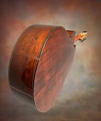 Strahm Eros C Brz guitar up the back view