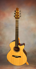 Strahm Eros C Brz guitar for sale