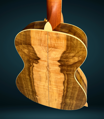 Taylor Liberty Tree guitar tulip poplar back