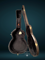 Taylor Liberty Tree guitar case interior