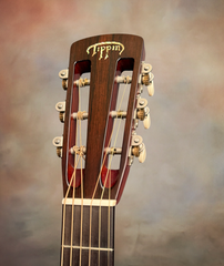 Tippin 000-12T 3 piece back guitar slotted headstock