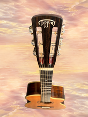 Tippin 000-12 fret Brazilian rosewood guitar at GuitarGal.com