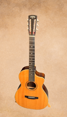 Tippin 000-12 fret Brazilian rosewood guitar for sale