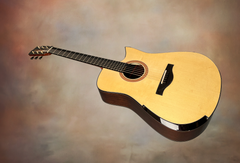 Tom Sands model L Malaysian Blackwood guitar glam shot