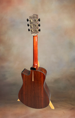 Tom Sands model S Malaysian Blackwood guitar full back view