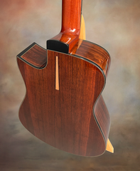 Tom Sands model S Malaysian Blackwood guitar back