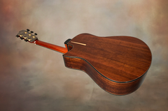 Tom Sands model S Malaysian Blackwood guitar floating back shot