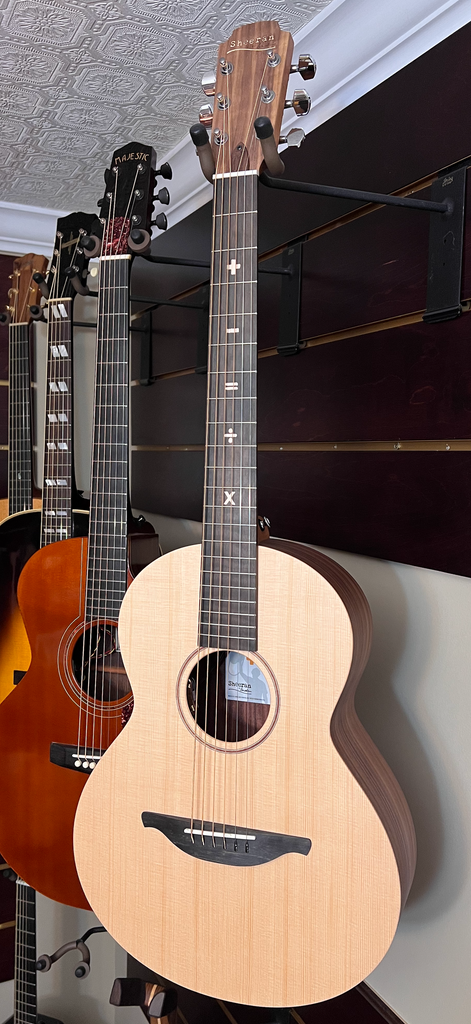 lowden guitar tour