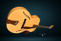 Trenier Acoustic Archtop glam shot