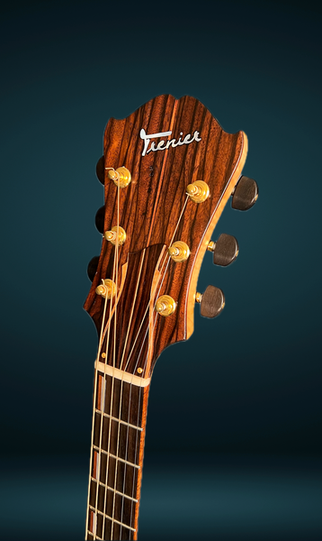 Trenier Essence Model Archtop (2015) – Guitar Gallery