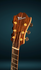 Trenier Acoustic Archtop headstock