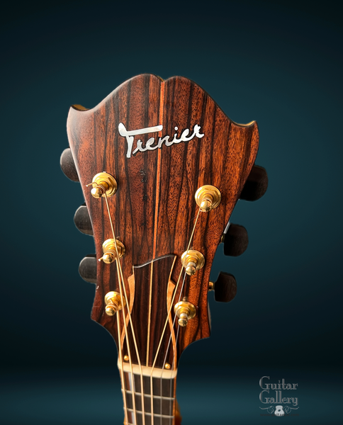 Trenier Essence Model Archtop (2015) – Guitar Gallery
