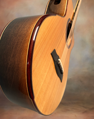 Turnstone ancient Bog guitar top bevel