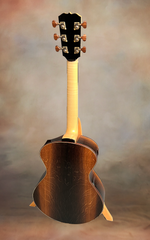 Turnstone ancient Bog guitar full back view