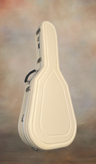 Turnstone ancient Bog guitar case