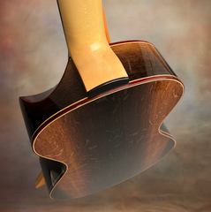 Turnstone ancient Bog guitar Bloodwood binding