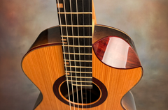 Turnstone ancient Bog guitar Benjamin scoop cutaway