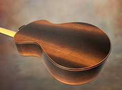 Turnstone ancient Bog guitar glam shot back