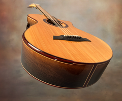 Turnstone ancient Bog guitar end graft
