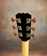 Turnstone ancient Bog guitar back of headstock