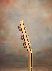 Turnstone ancient Bog guitar side of headstock