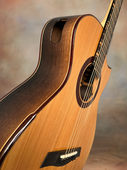 Turnstone ancient Bog guitar side port
