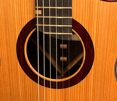 Turnstone ancient Bog guitar rosette