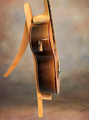 Turnstone ancient Bog guitar side