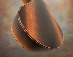 Turnstone ancient Bog guitar low back