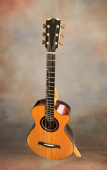 Turnstone ancient Bog guitar for sale