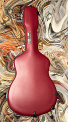 Vines SL cocobolo guitar calton case