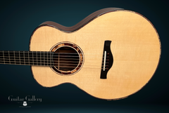 Vines SL cocobolo guitar your new best friend