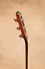 Kim Walker Archtop neck side dots