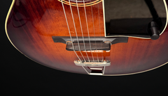 Kim Walker Archtop tailpiece and volume control