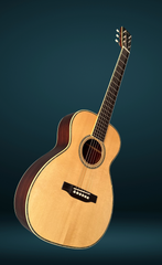 Kim Walker 0-14 Brazilian rosewood guitar glam shot
