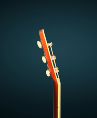 Kim Walker 0-14 Brazilian rosewood guitar with neck side dots