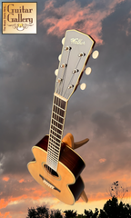 Kim Walker 0-14 Brazilian rosewood guitar promo shot