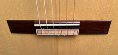 Woon Sun Lee Classical Guitar