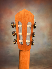 Woon Sun Lee Classical Guitar