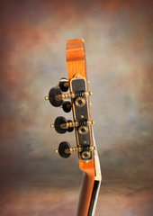 Woon Sun Lee Classical Guitar