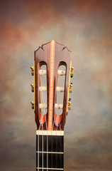 Woon Sun Lee Classical Guitar