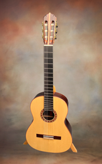 Woon Sun Lee Classical Guitar