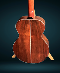 Rein RJN-1 Brazilian rosewood Guitar back