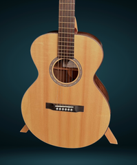 Rein RJN-1 Brazilian rosewood Guitar for sale
