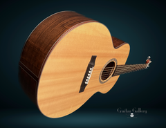 Rein RJN-1 Brazilian rosewood Guitar glam shot