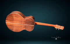 Rein RJN-1 Brazilian rosewood Guitar glam shot back