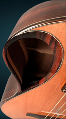 Wilborn Arum guitar detail