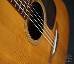 1954 Martin D-18 guitar detail