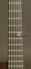 Rainsong Graphite Guitars: Vintage Burst APLE (Al Petteway Sig Model)